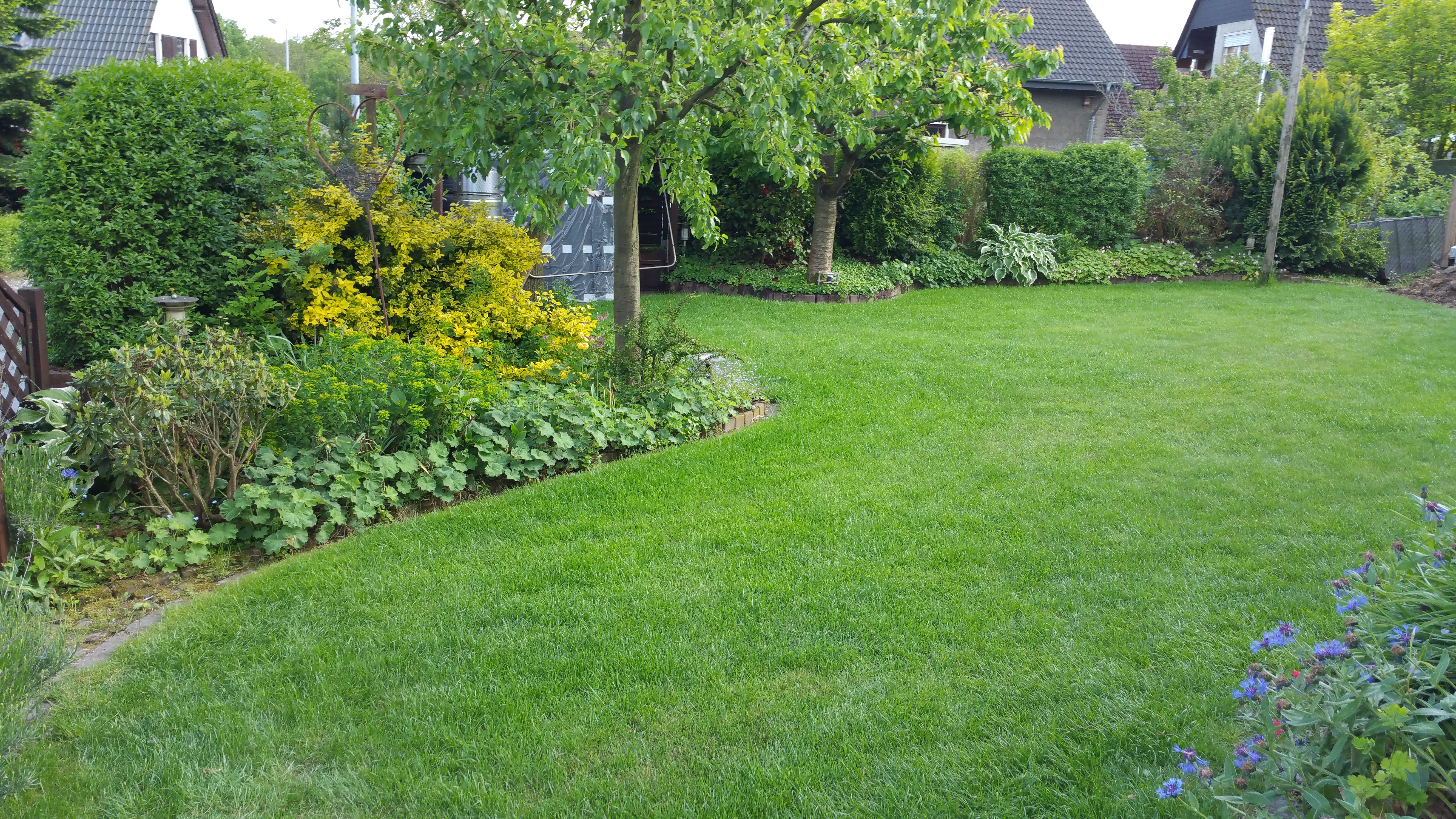 Bild13