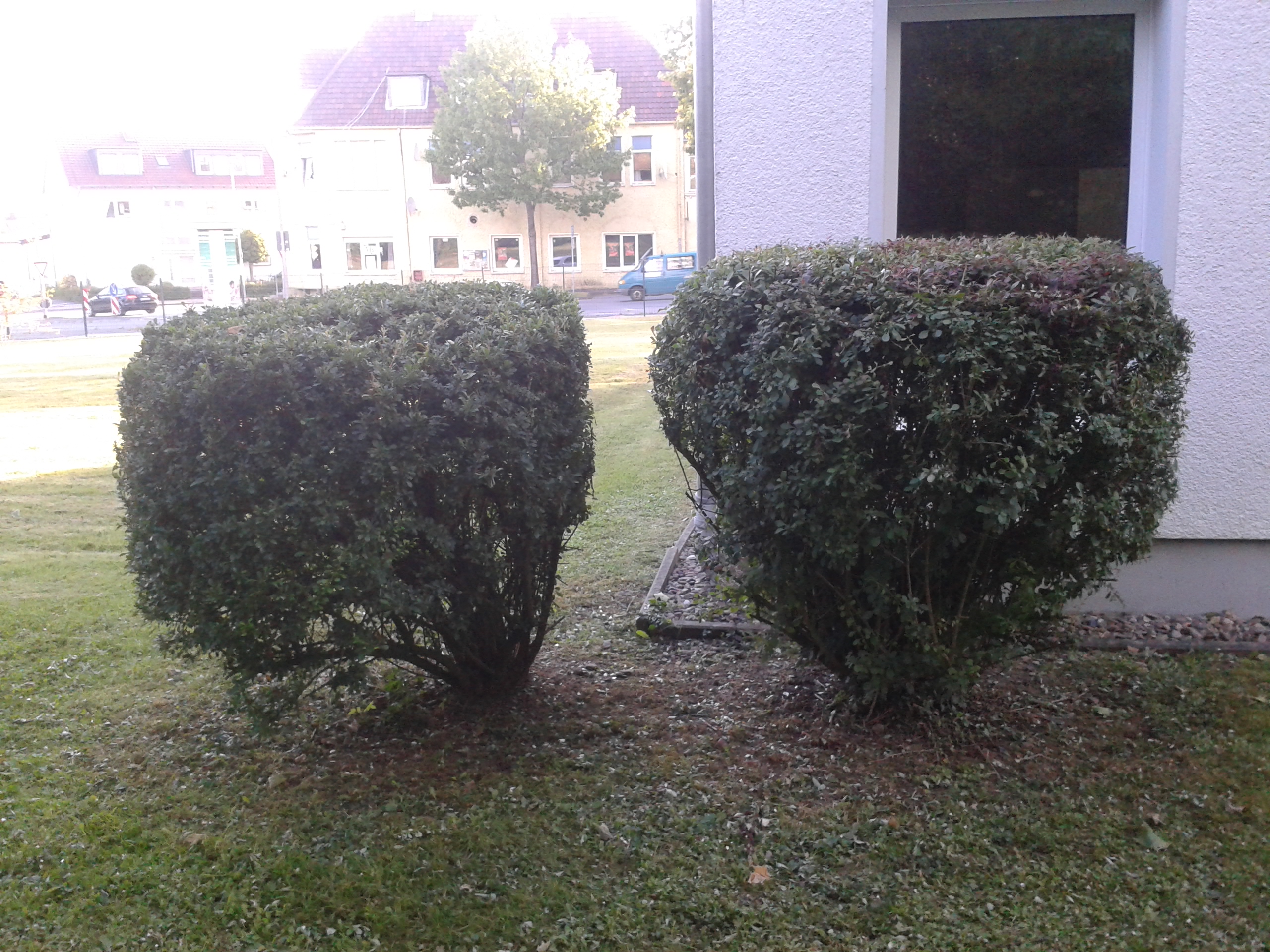 Bild01