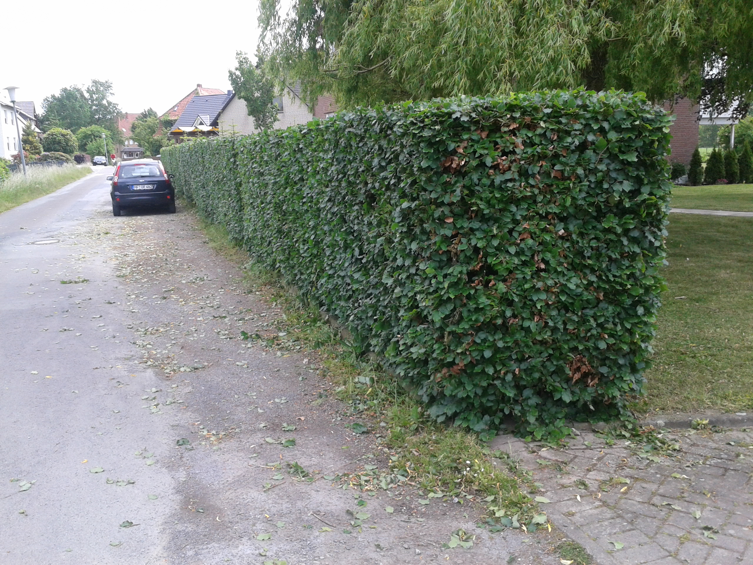 Bild02