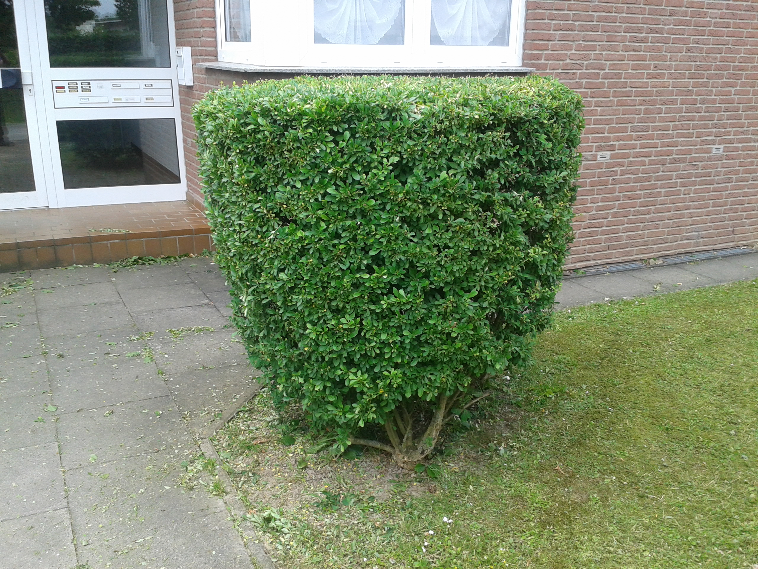 Bild03