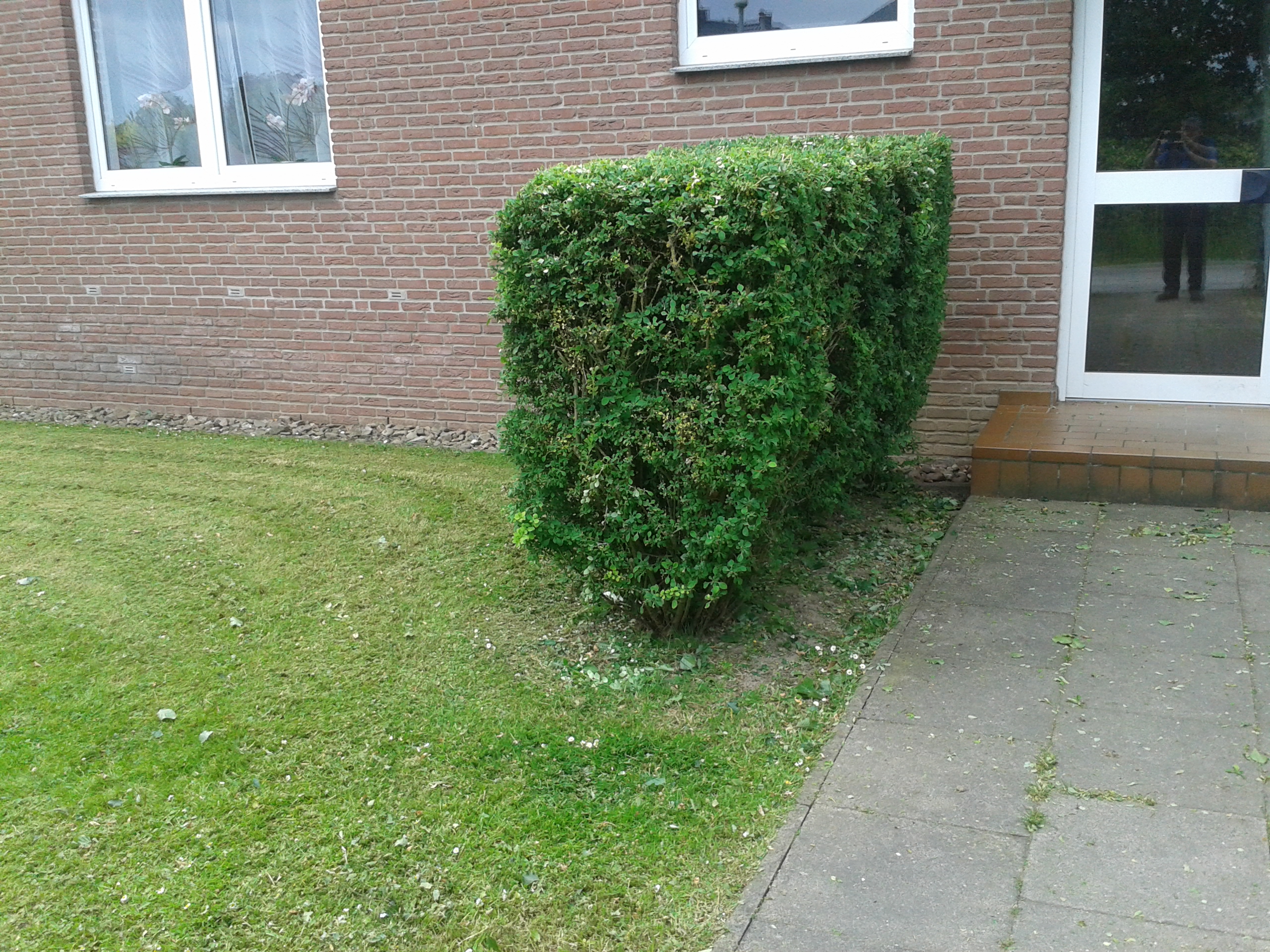 Bild04
